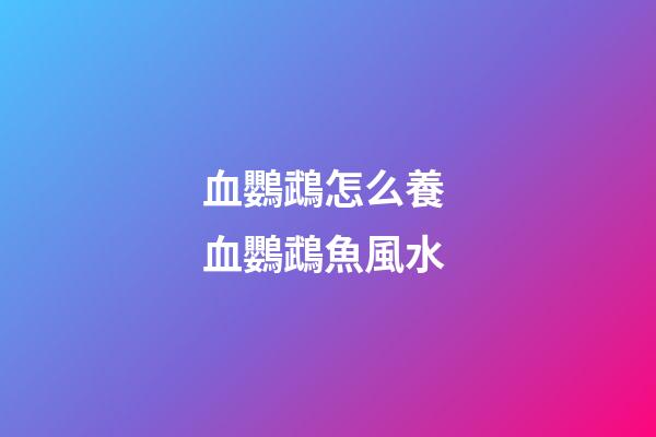 血鸚鵡怎么養 血鸚鵡魚風水